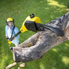  , USA Tree Removal Pros